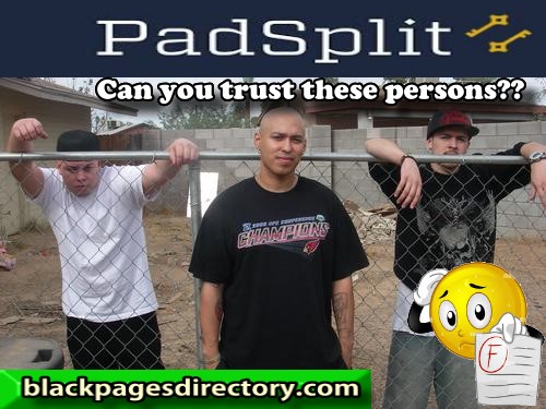 Black Pages Reports: What Blacks Need to Know About PadSplit