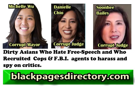  Black Pages Report: Boston, MA Mayor Michelle Wu, Nevada Danielle Chio, and Sunnu Bailey Tied to Illegal Police Tactics