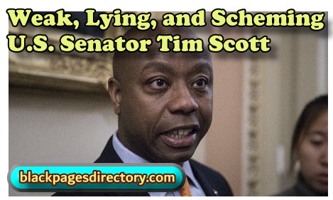 Black Pages Directory: U.S. Senator Tim Scott Ends Race